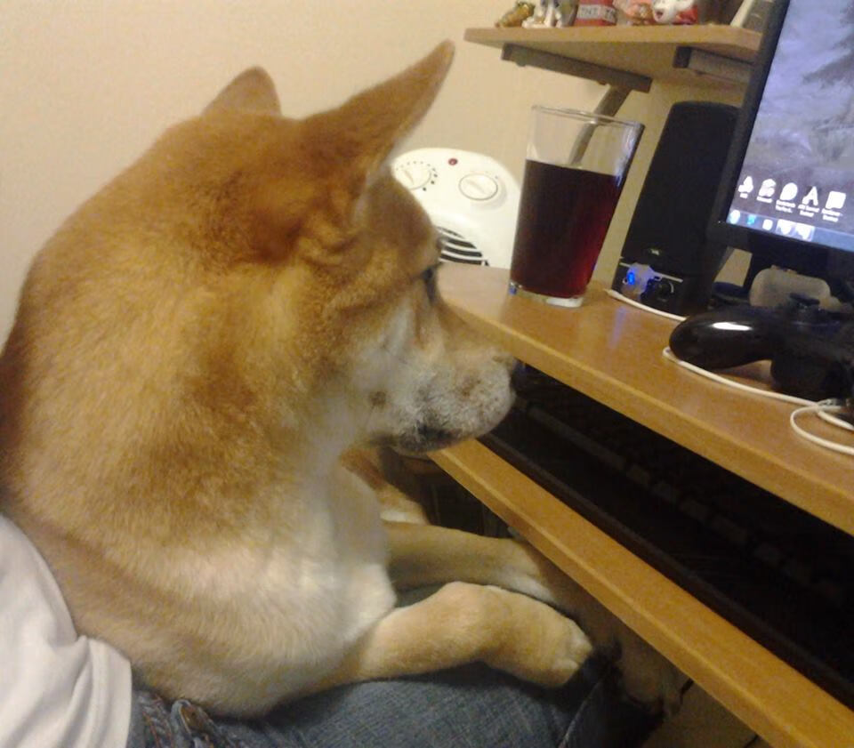 持续进步中的中立B女队，值得期待